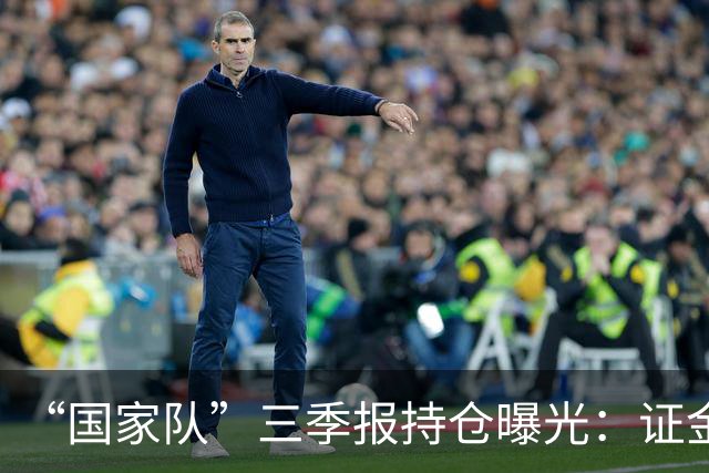 “国家队”三季报持仓曝光：证金重仓中国神华，社保基金增持中金岭南
