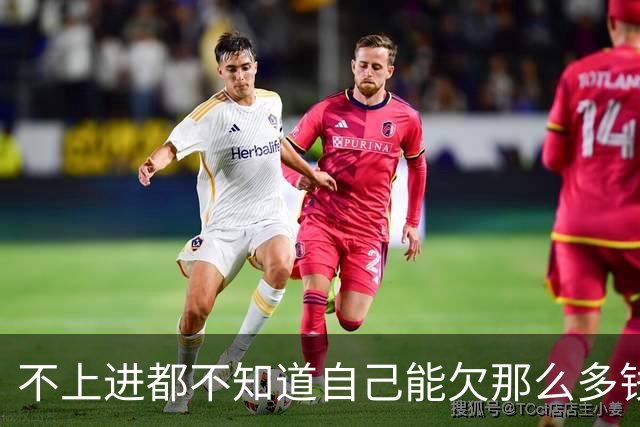 不上进都不知道自己能欠那么多钱，网友：越努力越负债