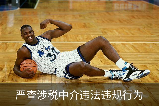 严查涉税中介违法违规行为