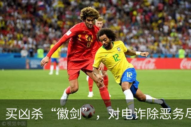 买凶杀“徽剑”，对电诈除恶务尽 | 新京报快评