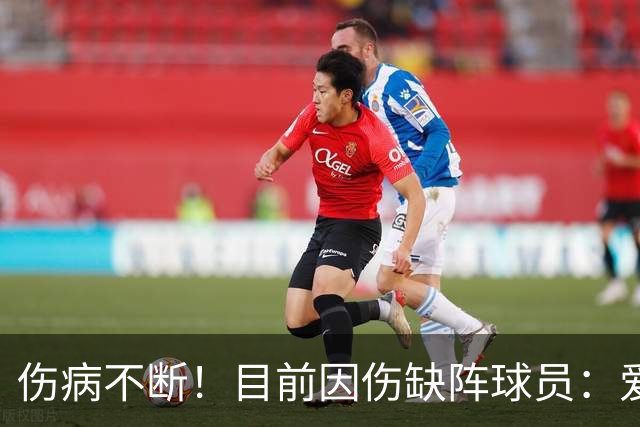 伤病不断！目前因伤缺阵球员：爱德华兹、杰威、伦纳德等