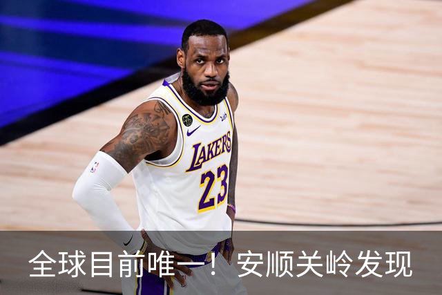 全球目前唯一！安顺关岭发现