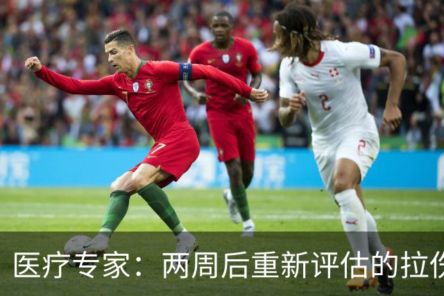 医疗专家：两周后重新评估的拉伤平均伤缺时间2.3周 为7.9场比赛