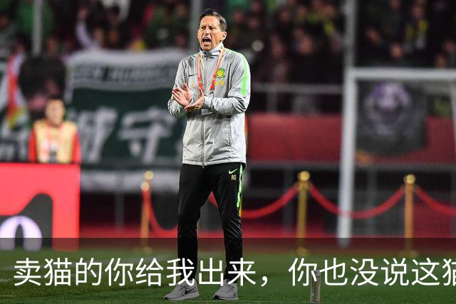 卖猫的你给我出来，你也没说这猫能长这么大啊