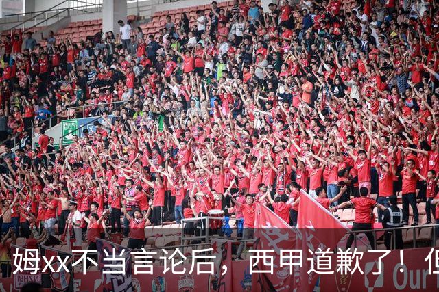 姆xx不当言论后，西甲道歉了！但从口头落实到实际行动也很重要
