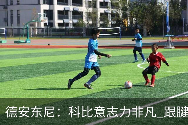 德安东尼：科比意志力非凡 跟腱受伤前那段时间根本没法让他休息