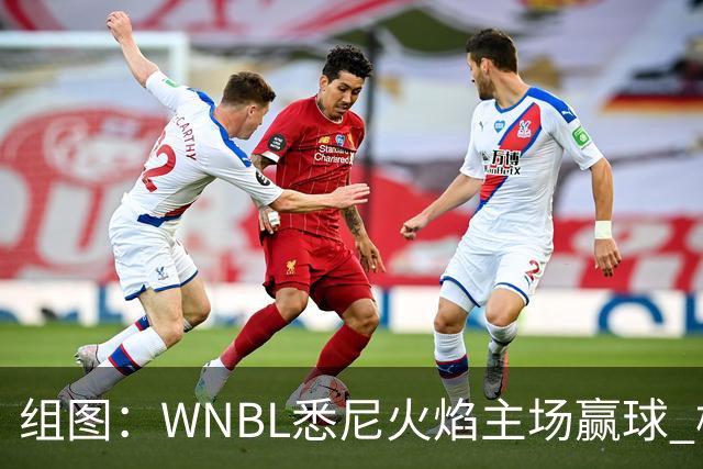 组图：WNBL悉尼火焰主场赢球 杨舒予与队友庆祝胜利