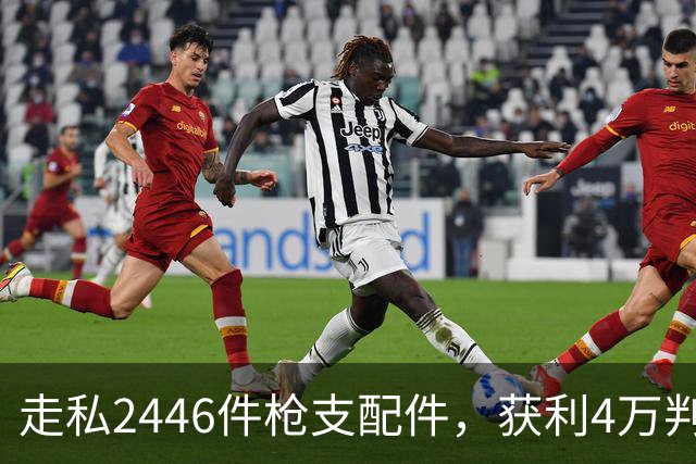 走私2446件枪支配件，获利4万判了10年，国家射击教练田红案披露
