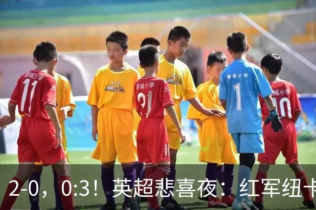2-0，0:3！英超悲喜夜：红军纽卡纷纷赢球，曼联崩盘滑向降级区！