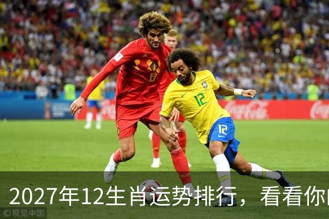 2027年12生肖运势排行，看看你的排名第几，前三个将彻底翻身